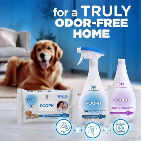 does pooph get rid of cigarette smell Work On Smoke? POOPH Odor Eliminator: Destroys Pet