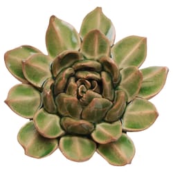 Chive English Garden 1.8 in. H X 3.3 in. L Glazed Green Ceramic Small Succulent Wall Flower