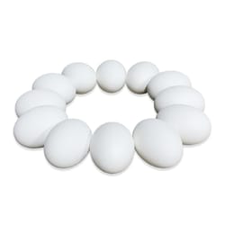 Eggmazing Easter Eggs Wooden 12 pc