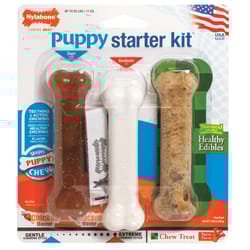 Nylabone Starter Kit For Dog Assorted Plastic Bones Chew Dog Toy 1.89 3 pk