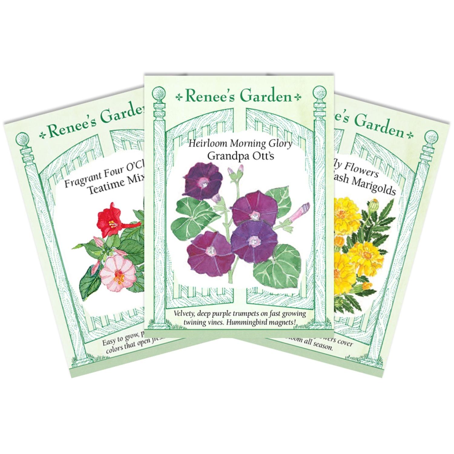 Renee's Garden Flower Seeds 1 pk Mfr# 5042 - Ace Hardware