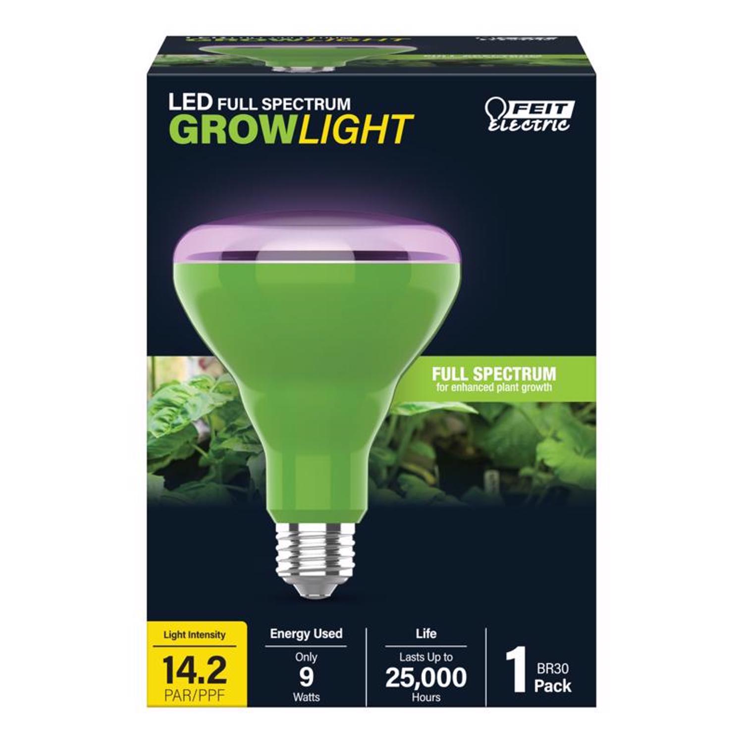 Grow Bulbs - Ace Hardware