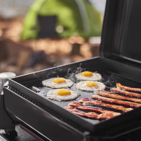Weber Slate17
