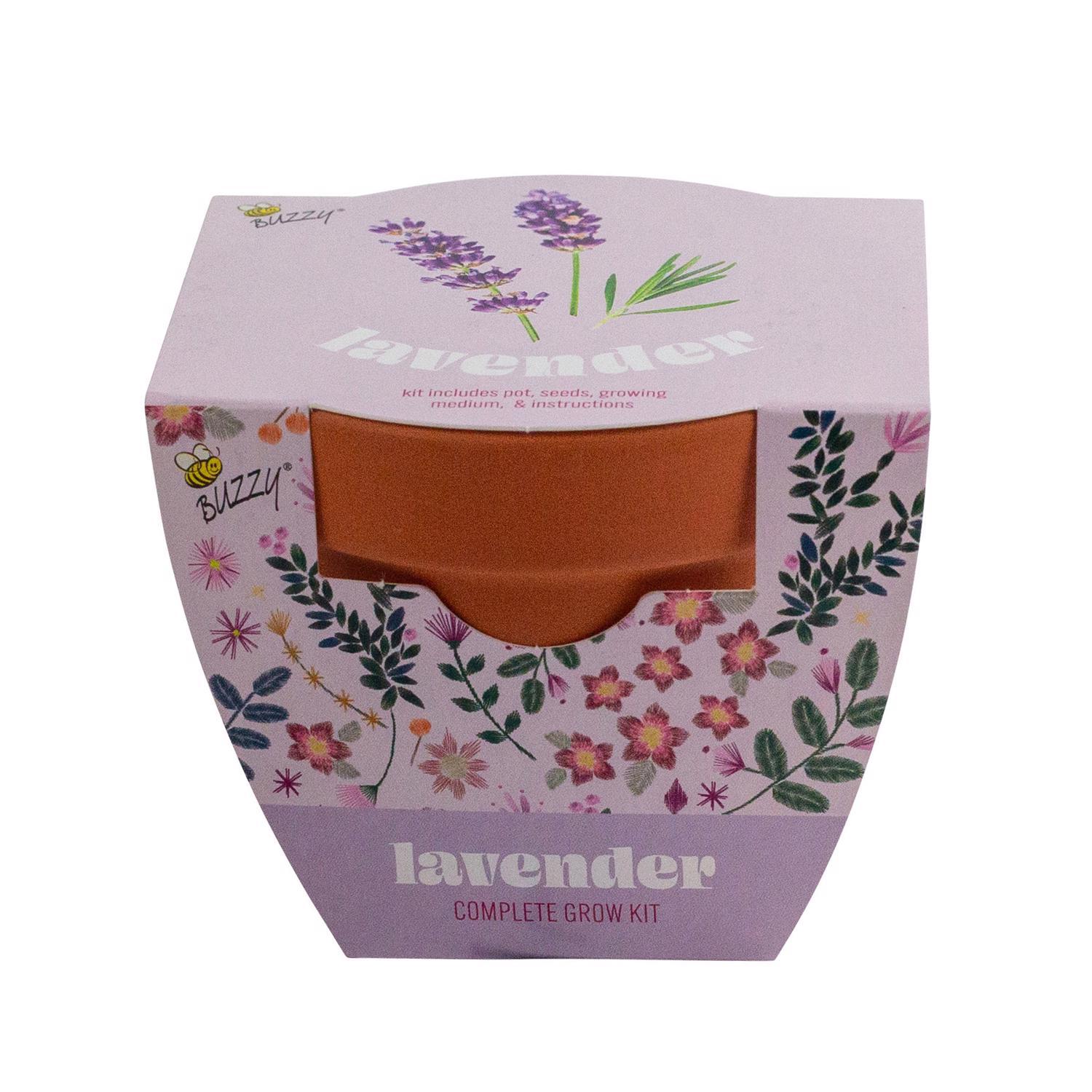 Buzzy Classic Terra Cotta Lavender Grow Kit 1 pk Mfr# 97234 - Ace