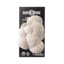North Spore Spray & Grow Lion's Mane Mushroom Vegetable Plant