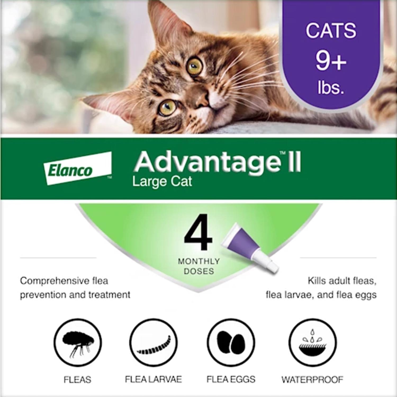 Photos - Dog Medicines & Vitamins Elanco Advantage II Liquid Cat Flea Drops Imidacloprid/Pyriproxyfen 0.108 oz 81520224-APC 