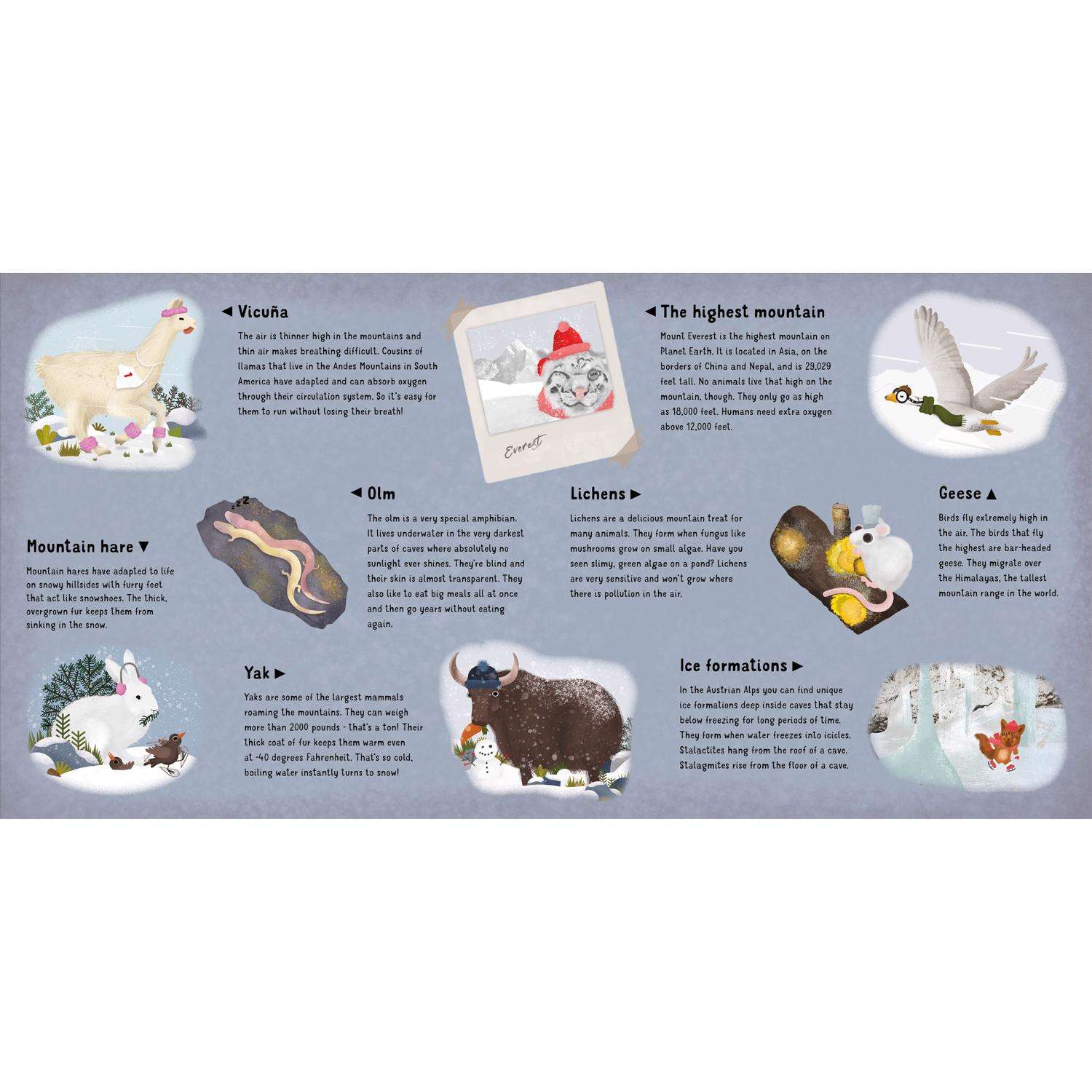 image-5
