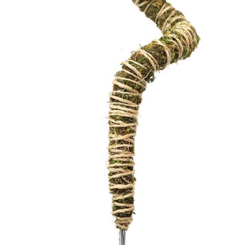Mossify Bendable Moss Pole 30 in. H Green Moss Pole Mfr# BMPTN