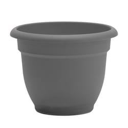 Bloem Ariana 10.25 in. H X 13 in. W X 12 in. D Plastic Traditional Planter Charcoal