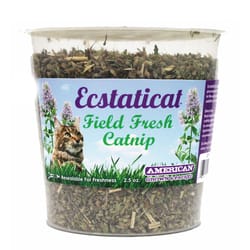 Esctaticat For Cat Black/Brown Loofa Fresh Cup Catnip Toy Medium