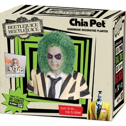 Chia Pet Beetlejuice Decorative Planter Clay 1 pk