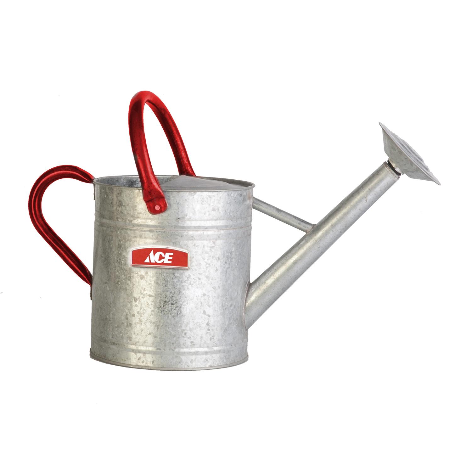 Behrens Metalware Classics 2.5-Gallons Silver Hot Dipped Galvanized Metal Classic Watering Can 00457 At