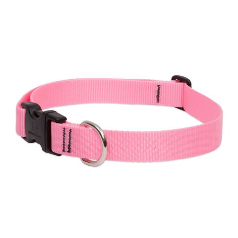 LupinePet Basic Solids Pink Pink Nylon Dog Adjustable Collar