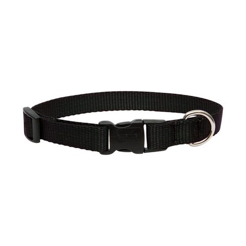 LupinePet Basic Solids Black Black Nylon Dog Adjustable Collar