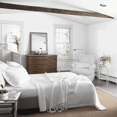 Benjamin Moore Regal Flat White Dove Paint Interior 1 gal Mfr