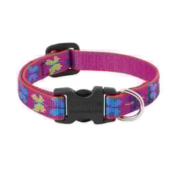 Lupine Pet Original Designs Multicolor Wing It Nylon Dog Adjustable Collar