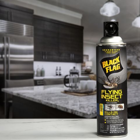 Black Flag Flying Insect Killer Aerosol Spray 18 oz Mfr# HG-11076