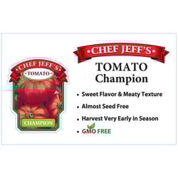 Chef Jeff Red Standard Champion Tomato Vegetable Plant