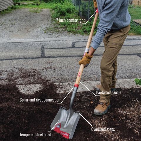 Ace 57.75 in. Steel Square Transfer Shovel Wood Handle Mfr# 70024