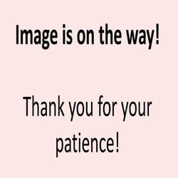 Gerson 20 in. Halloween Cone Tree Fall Decor