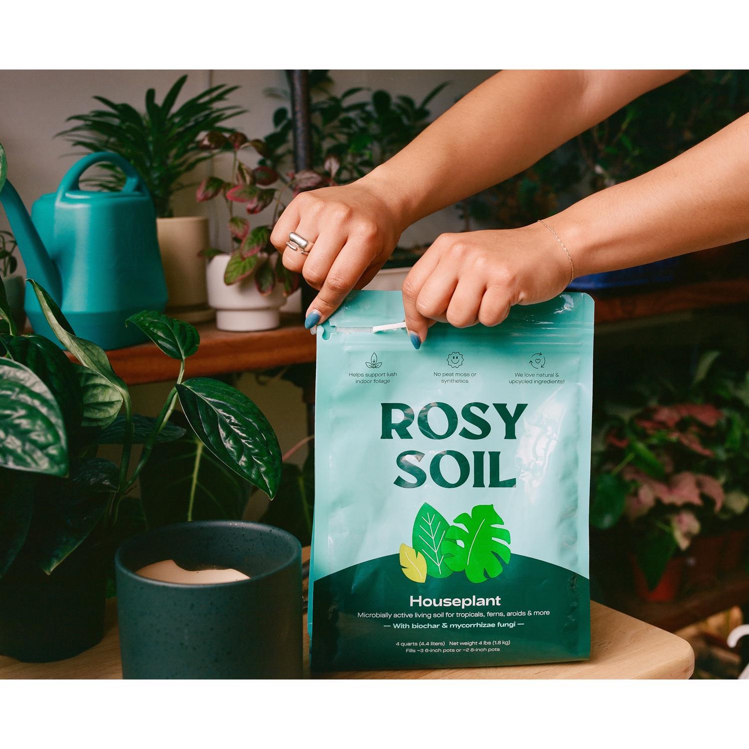 Rosy Soil Organic Indoor Plant Potting Soil - Thumbnail 3