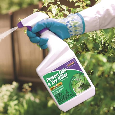 Bonide Poison Ivy Killer RTU Liquid 32 oz Mfr# 5066 - Ace Hardware