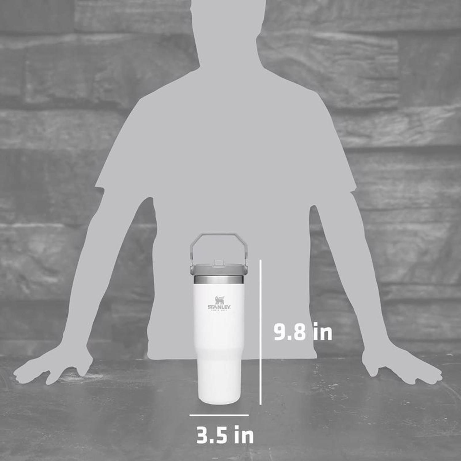 Stanley IceFlow 30 oz Polar BPA Free Double-Wall Vacuum Insulated Straw Tumbler