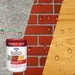 Thompson's WaterSeal Clear Fully-Transparent Water-Based Multi-Surface Waterproofer 6 gal