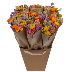Dutch Flower House Market More Orange Mix Bouquet Dried Flowers