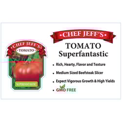 Chef Jeff Red Standard Superfantastic Tomato Vegetable Plant
