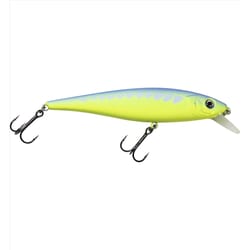 Walleye County Fishing Lure 4 in.