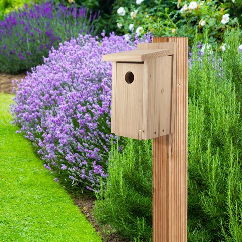 Audubon 12 in. H X 6.4 in. W X 6.4 in. L Red Cedar Bird House Mfr