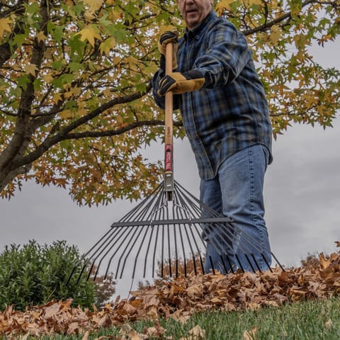 tobacco rake Lawn/Leaf 22-tine Handle 54" Built tough and to last Truper 64.5 in. 24 Tine