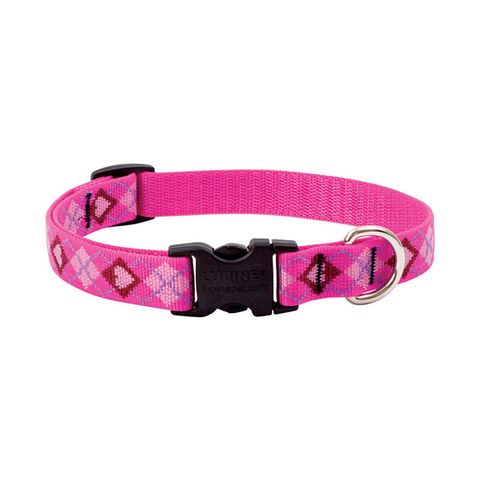 LupinePet Original Designs Multicolor Puppy Love Nylon Dog Adjustable Collar