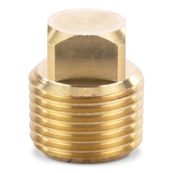Moeller Cast Brass Brass Drain Plug 1 pk