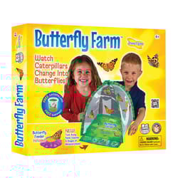 Insect Lore Butterfly Farm Green