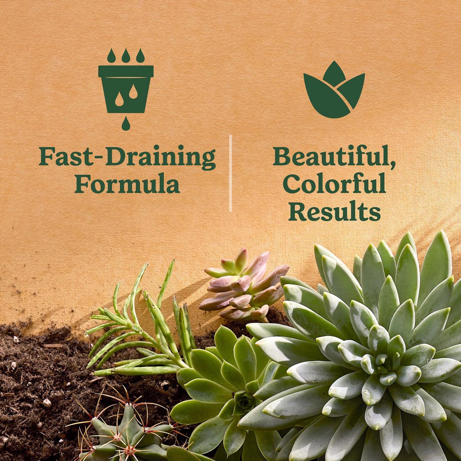 Miracle-Gro Cactus, Palm Citrus 8 Quart(s) Potting Soil Mix - Thumbnail 5