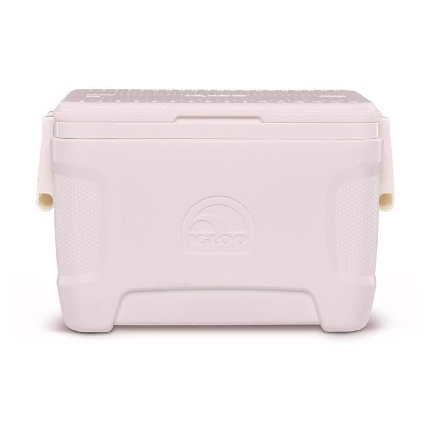Igloo Marine Contour White 25 qt Hard Cooler Mfr# 49644 Ace Hardware