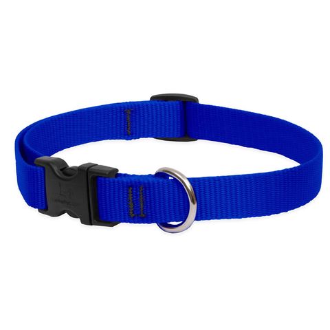 LupinePet Basic Solids Blue Blue Nylon Dog Adjustable Collar