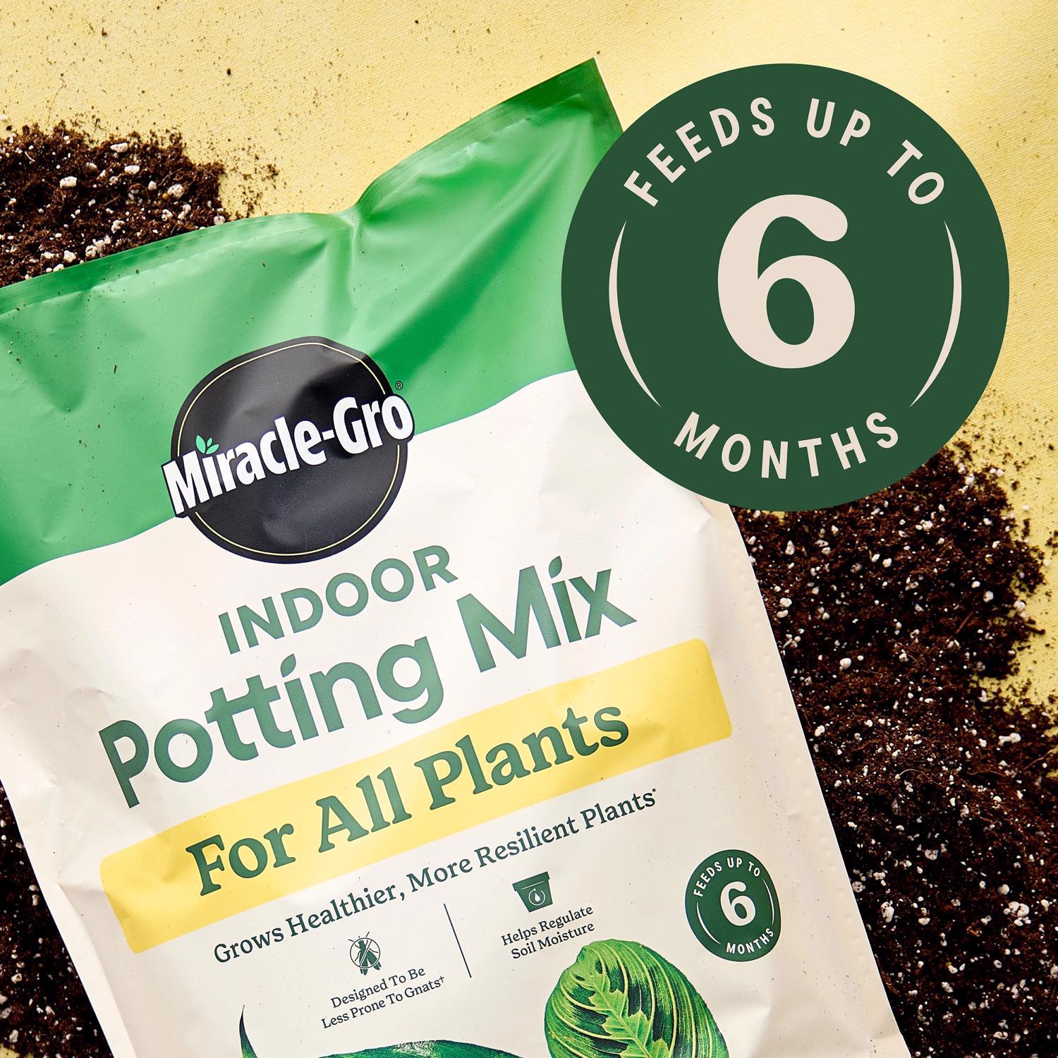 Miracle-Gro Indoor Plant Potting Soil 6 qt Mfr# 72776891 - Ace Hardware