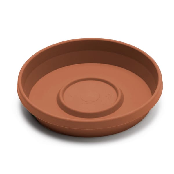 Terracotta pot & saucer set