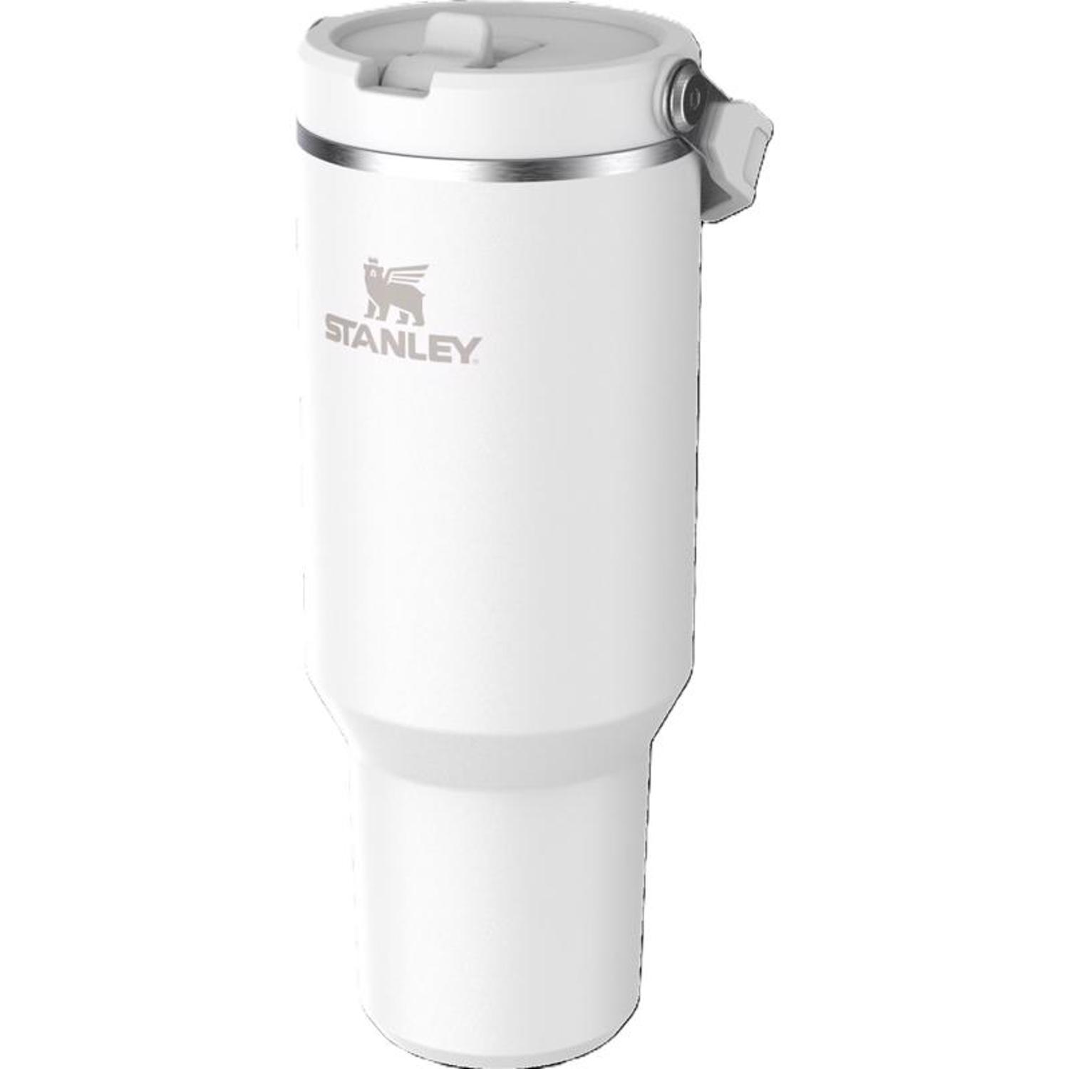 Stanley IceFlow  2.0 40 oz Frost BPA Free Insulated Straw Tumbler