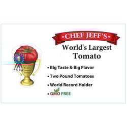 Chef Jeff Red Special  World's Largest Tomato Vegetable Plant