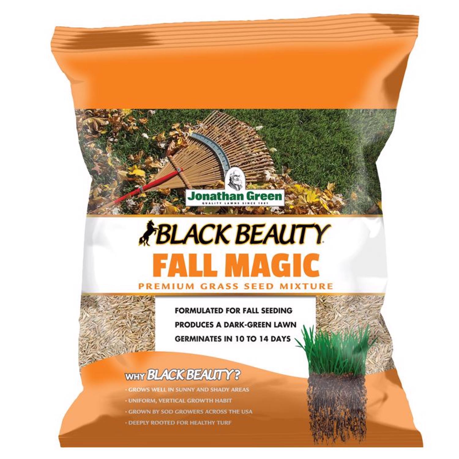 Jonathan Green Black Beauty Fall Magic All Grasses Sun or Shade