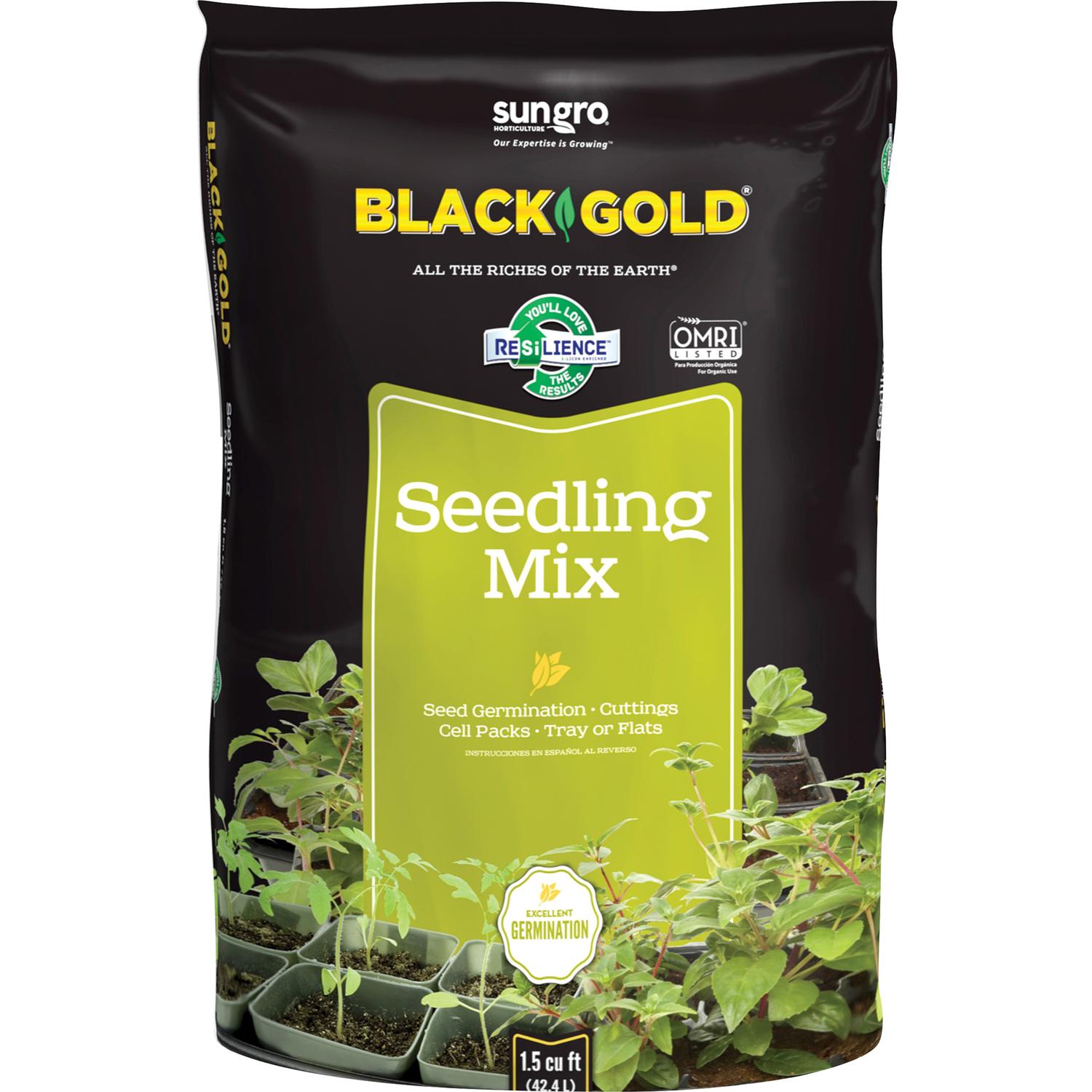 dracaena gold dust Gold Dust Dracaena Plant Care - How to Grow Dracaena surculosa main image 0