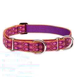 LupinePet Original Designs Multicolored Alpen Glow Nylon Dog Martingale Medium/Large