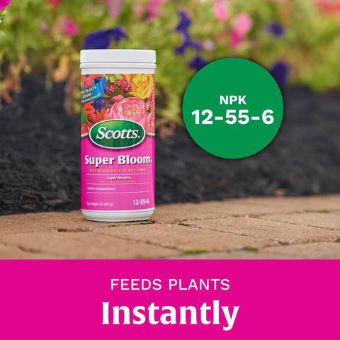 Scotts Super Bloom Granules Azalea, Daffodils, Gardenia, Geraniums