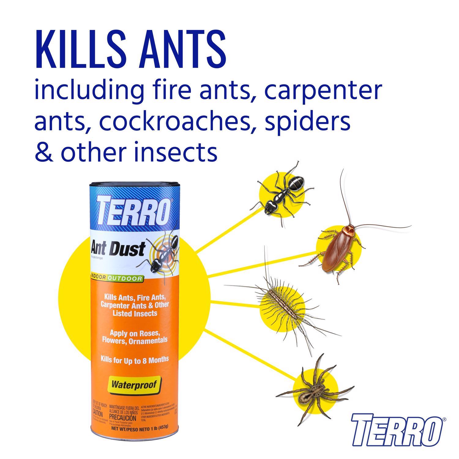 TERRO Ant Dust - Thumbnail 5
