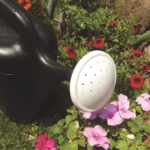Ace Black 2 gal Plastic Watering Can Mfr# 63285 - Ace Hardware