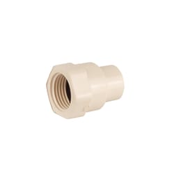 PlumbCraft Schedule 40 1/2 in. FPT each X 1/2 in. D Solvent Weld each CPVC Female Adapter
